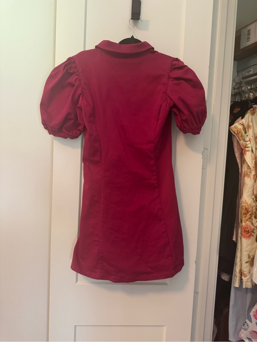 Tuckernuck Hyacinth HousePuff-Sleeve Mini Dress - Picture 4 of 4